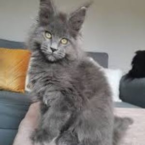 Meet your Posher, Maryjean